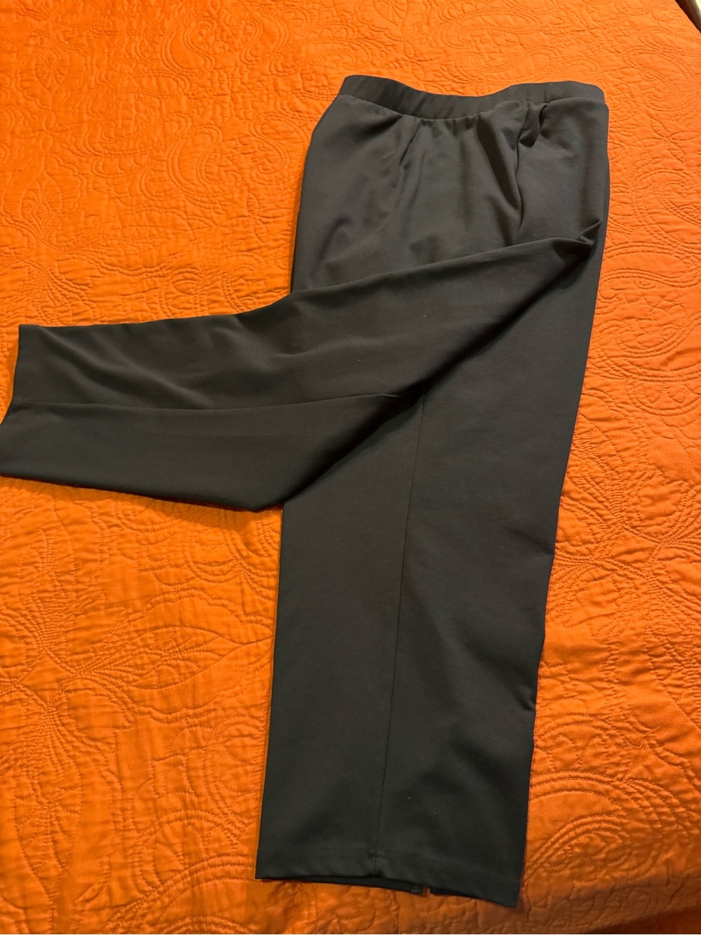 Women’s Black Casual Ankle Pants - Classic Straight Fit